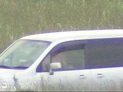 Actualvoyeur spycam voyeur camera video